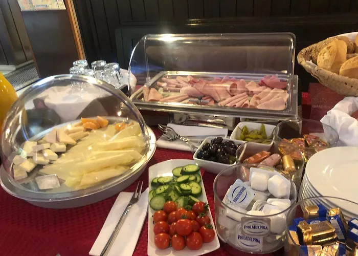 酒店 Regina 莱茵河畔路德维希港