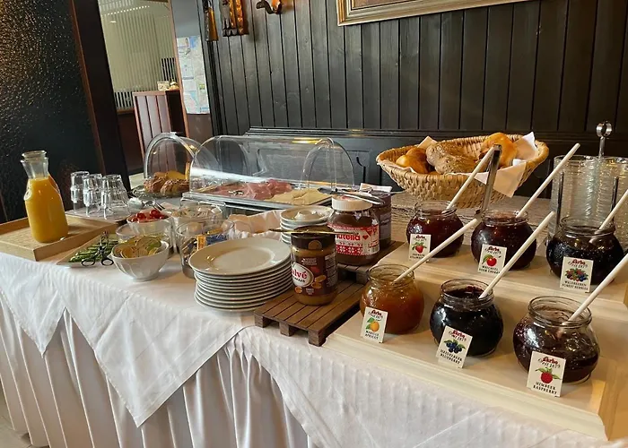 酒店 Regina 莱茵河畔路德维希港